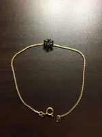 ImageUploadedByTreasureNet.com1523671494.751482.webp ImageUploadedByTreasureNet.com1523671494.751482.webp
