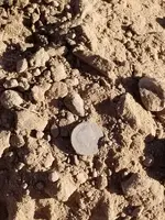 20180408_081142.webp