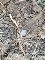 20180408_090438.webp