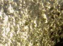 rock 4.webp