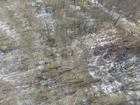 DJI_0018.webp