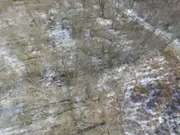 DJI_0019.webp