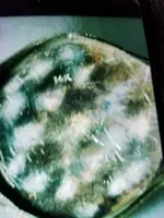 20180522_180354.webp 20180522_180354.webp