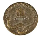 RWb71ds-American rattlesnake and liberty cap button imported from France.webp