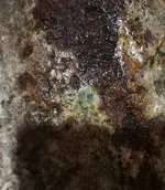 IMG_20180413_222850.webp