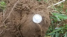 20180522_143049.webp