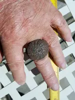 ring3.webp