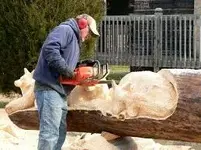 images (6).webp
