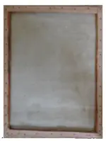 Constitution back.webp