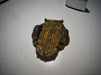DSCF1979 2.webp