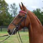 advantage-padded-bridle_04c60079-d8cd-4b40-852c-0d3d1a67d9ad.webp