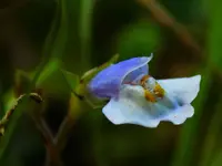 DSCN1596.webp