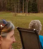 20180413_193158.webp