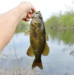 K1600_003.webp K1600_003.webp