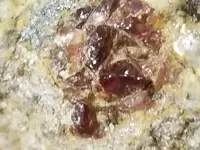 20180516_142913.webp
