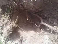 20180429_160434.webp