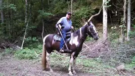 Majorctx.webp
