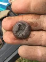 Confederate_Button.webp Confederate_Button.webp