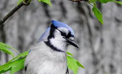 K1600_002.webp K1600_002.webp