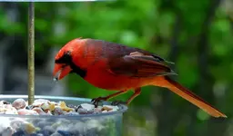 K1600_014.webp K1600_014.webp