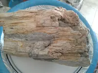 20180414_103426.webp