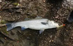 K1600_005.webp K1600_005.webp