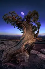 tumblr_oj8iobYzGv1r4or01o1_1280.webp