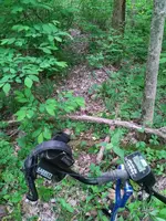 IMG_20180521_175400.webp