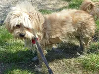 walk 042918 5.webp