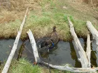 walk 042918 6.webp