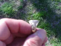 MD finds-Feb-early March 2018 002.webp