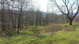 20180421_095240.webp