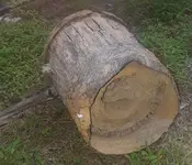 20180523_201339.webp