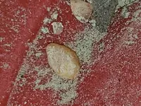 20180422_134324.webp