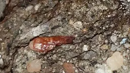 20180418_192854.webp