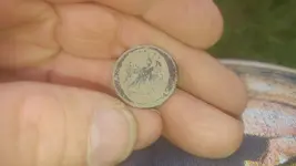Eagle Button.webp