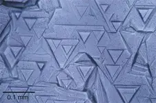 trigons4.webp