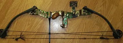hoyt 002.webp