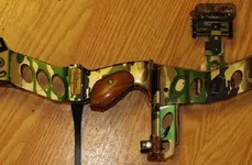 hoyt 003.webp