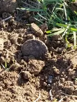 20180523_185115.webp 20180523_185115.webp