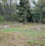 20180516_212451.webp
