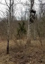 20180414_172101.webp