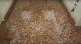 penny floor.webp