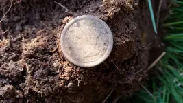 grass.webp
