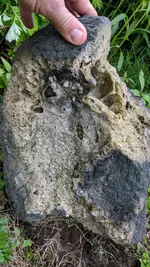 IMG_20180522_183512.webp
