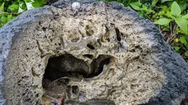 IMG_20180522_183500.webp