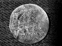 mystery coin.webp