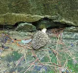 DSC08717.webp