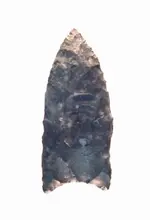 Ohio 9.webp