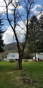 20180508_154628.webp